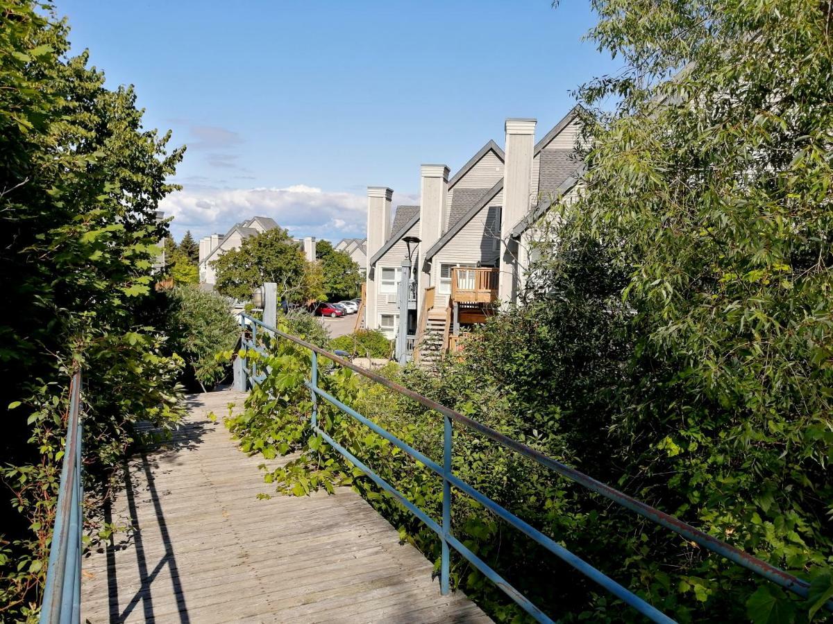 Slopeside Blue Mountain Condo - Wifi, Linens/Towels, Ski In/Out Blue Mountains Exterior foto